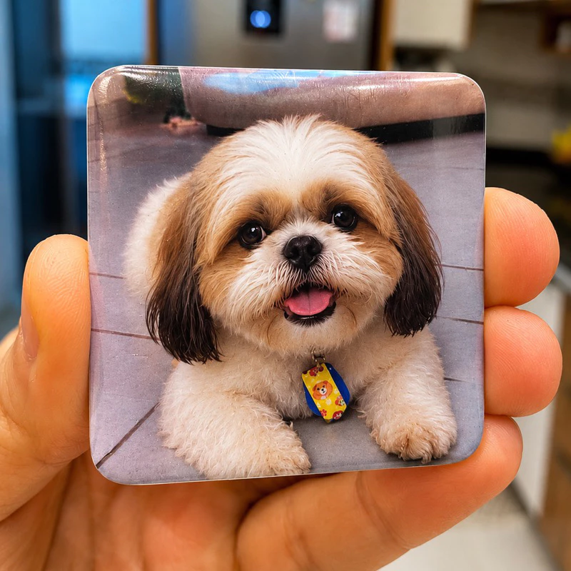 Instamini personalizada com foto de um cachorro